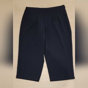 ✨️New Navy Blue Cropped Pants with Tummy Support Size - 24W